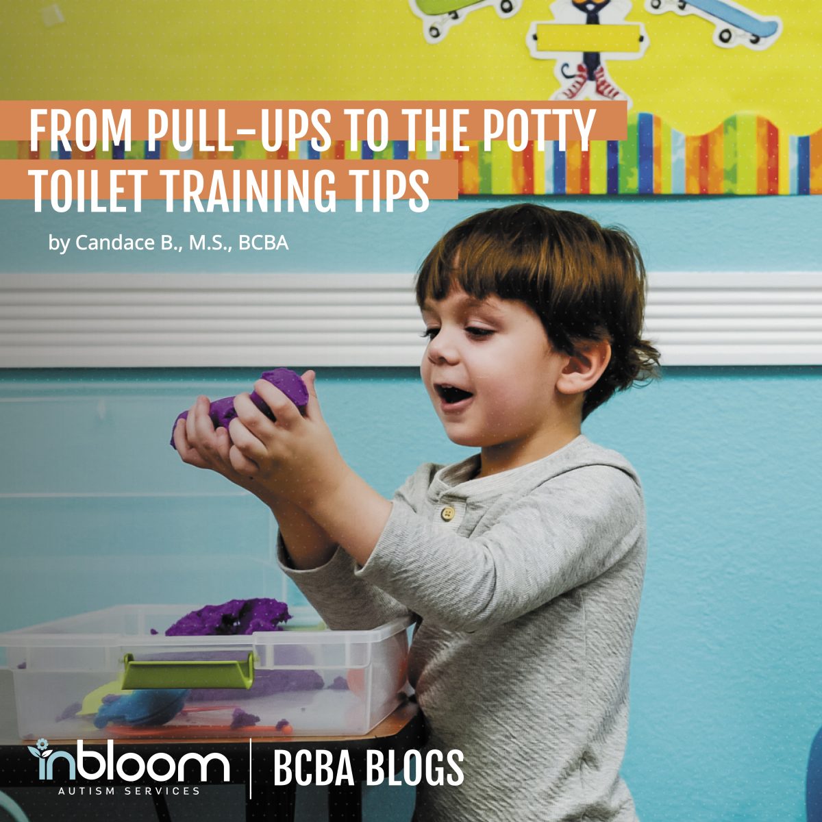 TOILET TRAINING TIPS