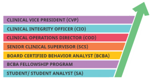 BCBA Elevate Career Ladder Logo Rise Program for Growth Path in InBloom Autism Services Careers!