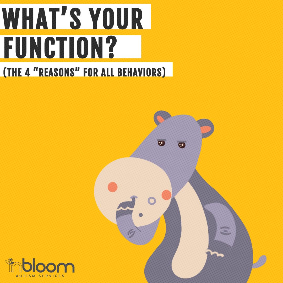 the-4-functions-of-behavior-why-we-all-do-what-we-do